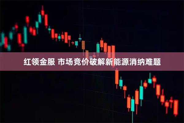 红领金服 市场竞价破解新能源消纳难题
