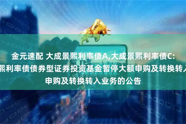 金元速配 大成景熙利率债A,大成景熙利率债C: 关于大成景熙利率债债券型证券投资基金暂停大额申购及转换转入业务的公告