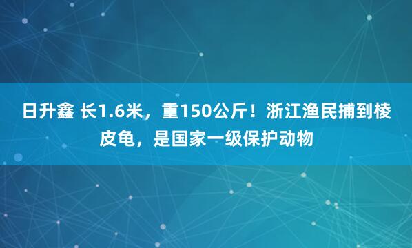 日升鑫 长1.6米，重150公斤！浙江渔民捕到棱皮龟，是国家一级保护动物