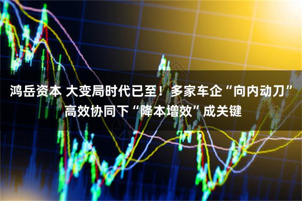 鸿岳资本 大变局时代已至！多家车企“向内动刀” 高效协同下“降本增效”成关键