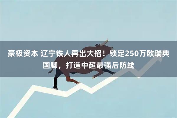 豪极资本 辽宁铁人再出大招！锁定250万欧瑞典国脚，打造中超最强后防线