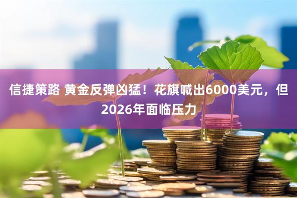 信捷策路 黄金反弹凶猛！花旗喊出6000美元，但2026年面临压力